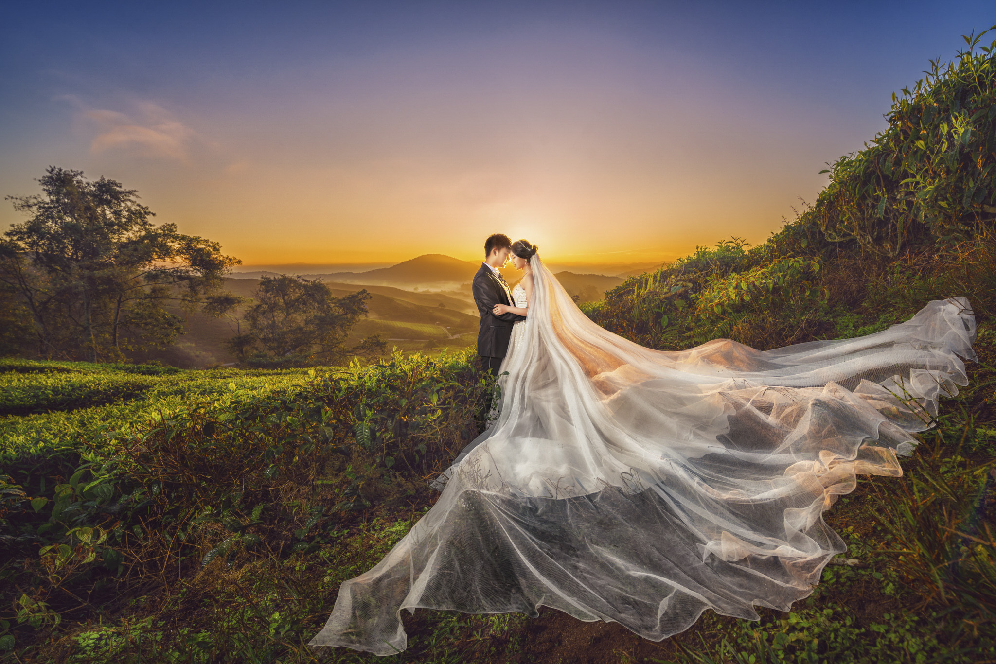 Evan&Jing Wedding Photography